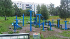 Площадка для воркаута в городе Петрозаводск №4098 Средняя Современная фото