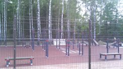 Площадка для воркаута в городе Рязань №2417 Большая Хомуты фото
