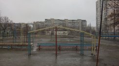 Площадка для воркаута в городе Киев №4956 Большая Советская фото