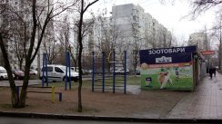 Площадка для воркаута в городе Киев №5041 Маленькая Советская фото