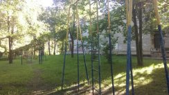 Площадка для воркаута в городе Балашиха №5503 Большая Советская фото
