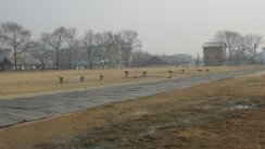 Площадка для воркаута в городе Владивосток №2113 Средняя Советская фото