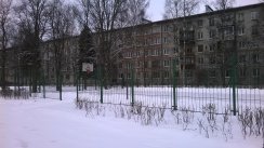 Площадка для воркаута в городе Петергоф №4808 Маленькая Советская фото