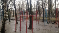 Площадка для воркаута в городе Черкассы №1247 Средняя Советская фото