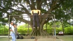 Handstands, Levers and Muscle Ups 2012