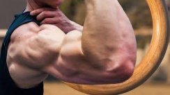 The Best Bodyweight Bicep Exercise