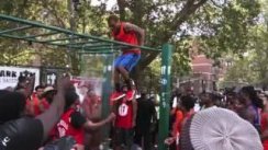 Pull Up Park Jam's Muscle Up Competition 2016