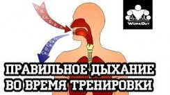 Правильное дыхание при выполнении упражнений  Антон Кучумов  100-дневный воркаут - День 15