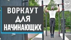 Воркаут: советы для начинающих от абсолютного чемпиона по бодибилдингу  Дмитрия Селиверстова