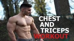 CHEST AND TRICEPS WORKOUT - Calisthenics / Street Brothers