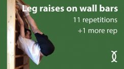 Wall Bar Leg Raises: The Ultimate Core Workout (11 Reps)
