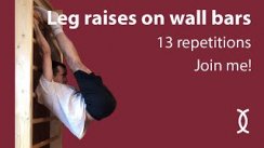 Best Core Exercise: Leg Raises on Wall Bars (13 Reps)  #coreworkout