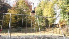 niroc handstand swing set