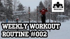Weekly Workout Routine #002 - Beginner - Back-Biceps (from MadBarz.com)
