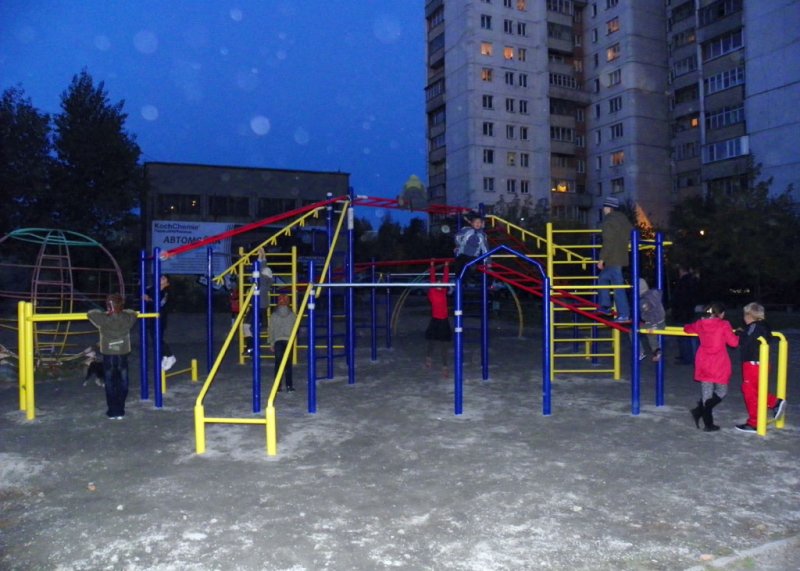 Площадка для воркаута в городе Новосибирск №1345 Средняя Современная фото