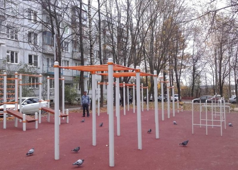 Площадка для воркаута в городе Москва №5826 Средняя Хомуты фото