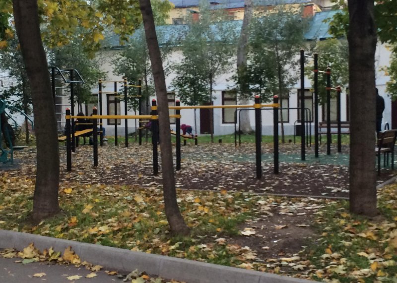Площадка для воркаута в городе Москва №5734 Маленькая Хомуты фото