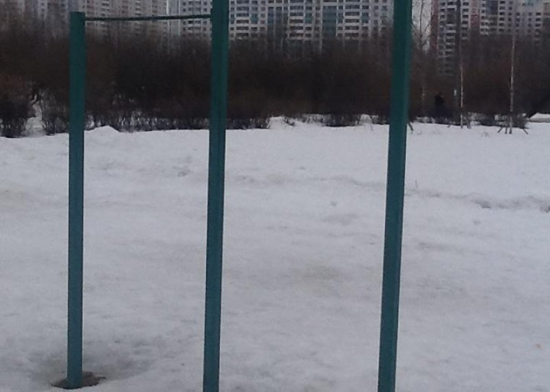 Площадка для воркаута в городе Москва №6238 Маленькая Советская фото