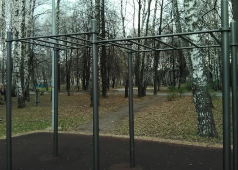 Площадка для воркаута в городе Рязань №6499 Средняя Хомуты фото