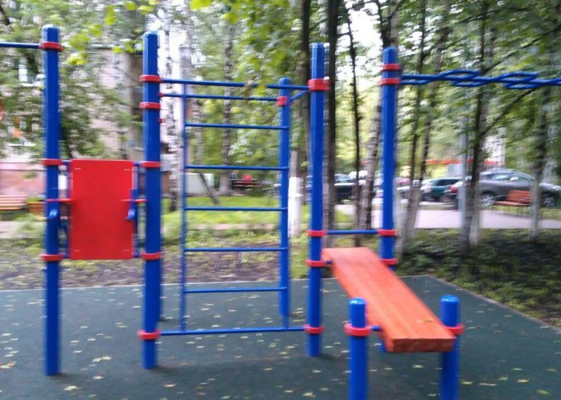 Площадка для воркаута в городе Красногорск №7106 Маленькая Хомуты фото