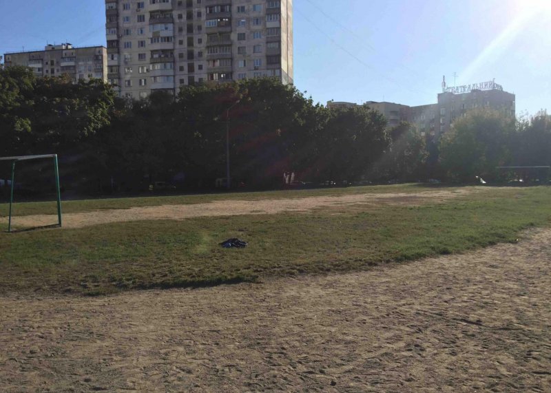Площадка для воркаута в городе Киев №7439 Средняя Советская фото