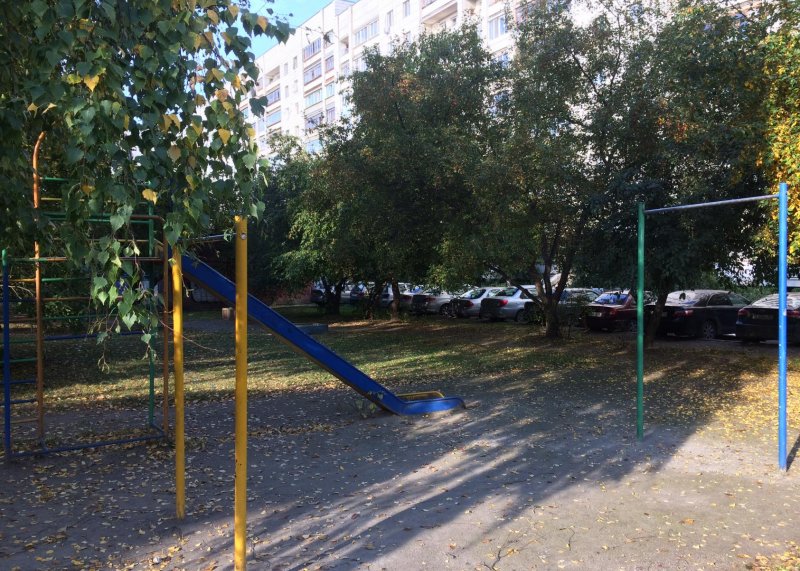 Площадка для воркаута в городе Екатеринбург №7493 Маленькая Советская фото