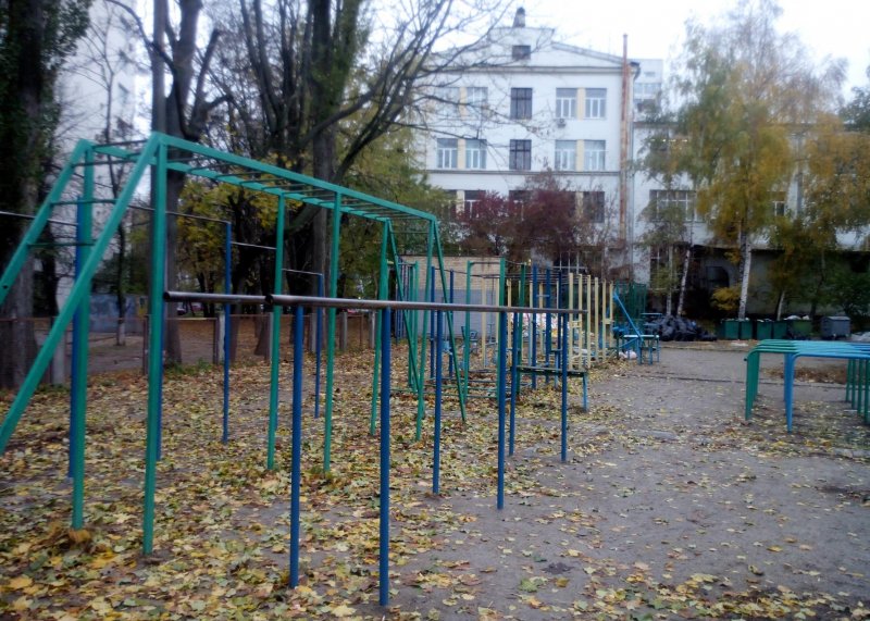 Площадка для воркаута в городе Киев №7834 Большая Советская фото