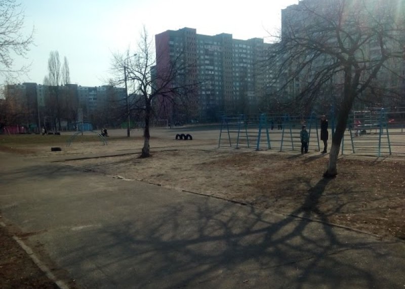 Площадка для воркаута в городе Киев №9190 Маленькая Советская фото