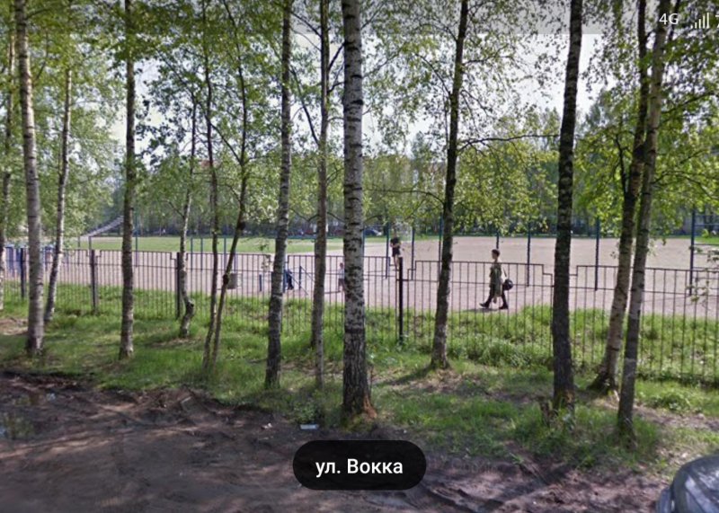 Площадка для воркаута в городе Всеволожск №9499 Средняя Советская фото