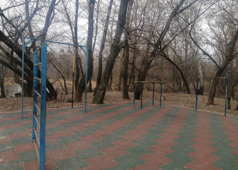 Площадка для воркаута в городе Киев №10559 Маленькая Советская фото