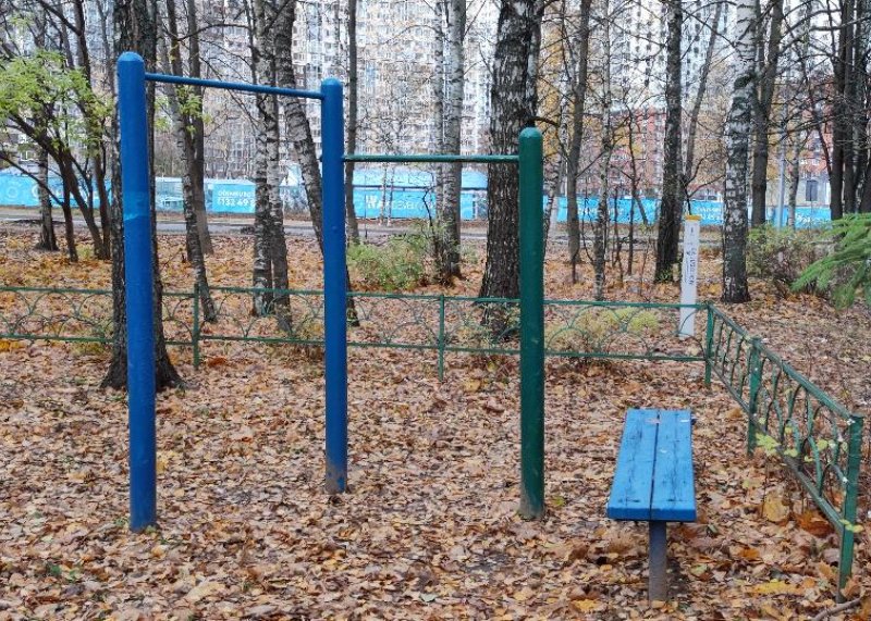 Площадка для воркаута в городе Одинцово №12174 Маленькая Советская фото