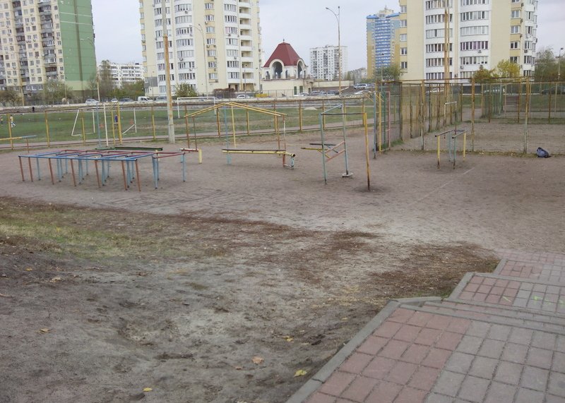 Площадка для воркаута в городе Киев №2558 Средняя Советская фото