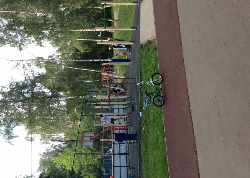 Площадка для воркаута в городе Москва №5287 Маленькая Советская фото