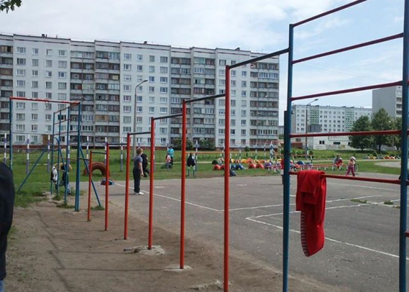 Площадка для воркаута в городе Рига №1705 Большая Советская фото