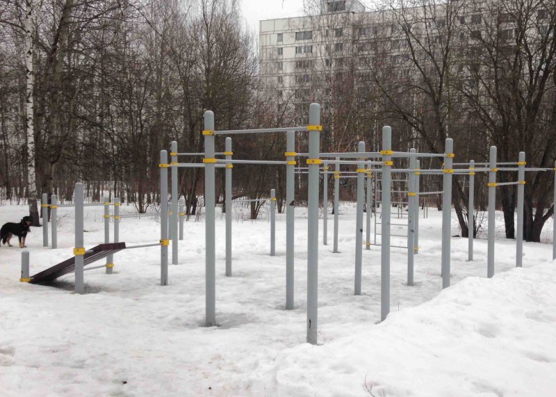 Площадка для воркаута в городе Москва №4999 Средняя Хомуты фото