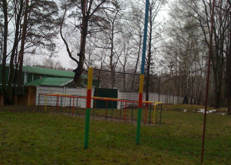 Площадка для воркаута в городе Красногорск №4693 Средняя Советская фото