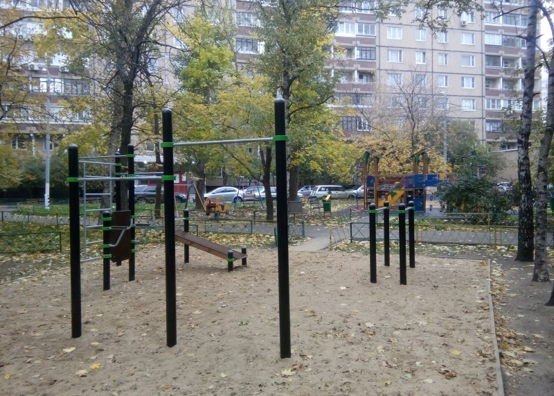 Площадка для воркаута в городе Москва №2512 Маленькая Хомуты фото