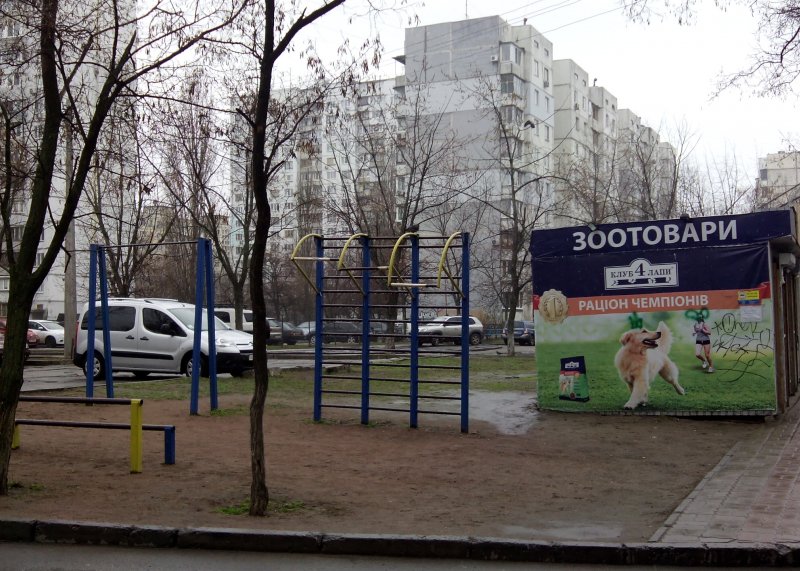 Площадка для воркаута в городе Киев №5041 Маленькая Советская фото