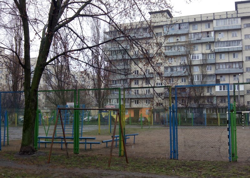 Площадка для воркаута в городе Киев №5042 Средняя Советская фото