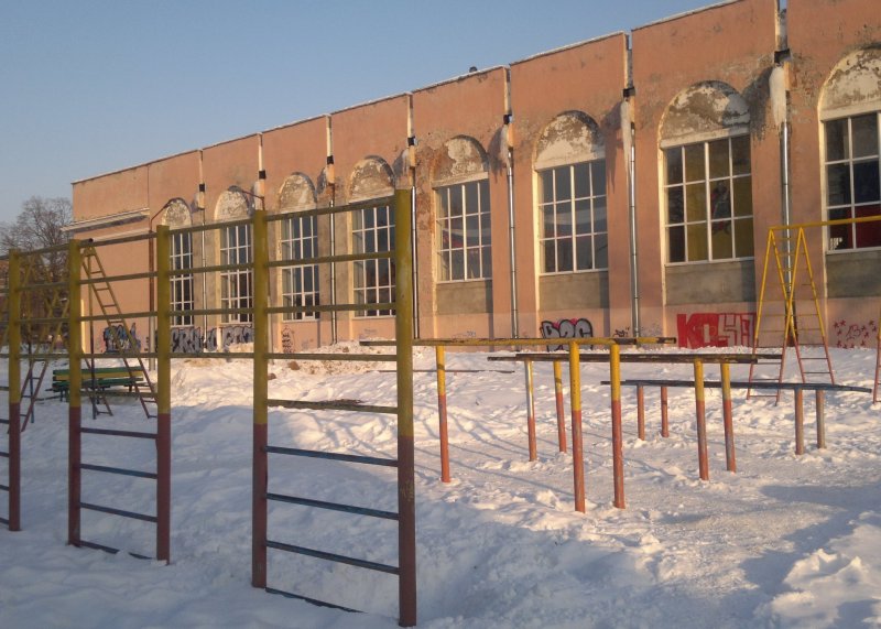 Площадка для воркаута в городе Рязань №824 Большая Советская фото