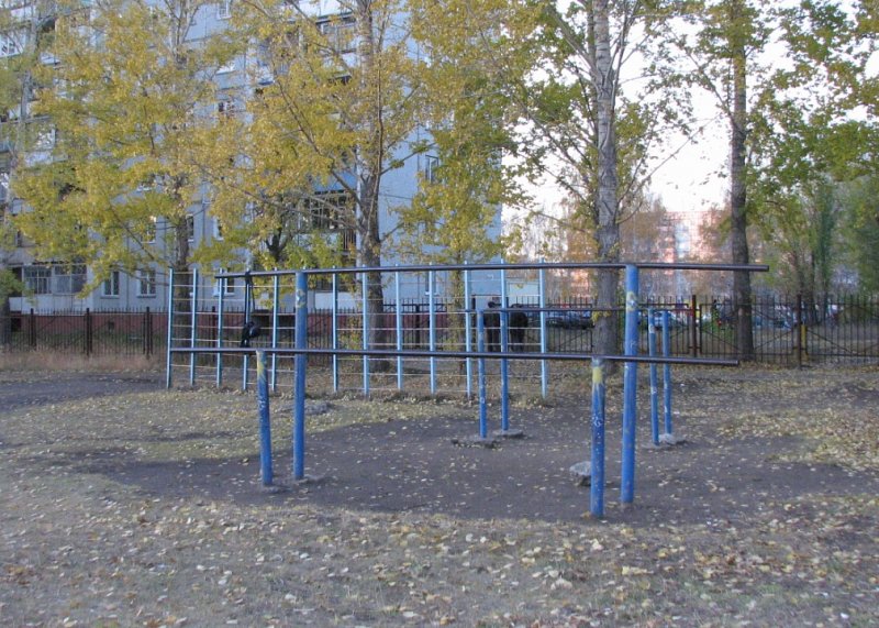 Площадка для воркаута в городе Омск №24 Средняя Советская фото