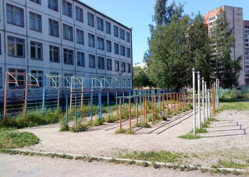 Площадка для воркаута в городе Санкт-Петербург №22 Большая Советская фото