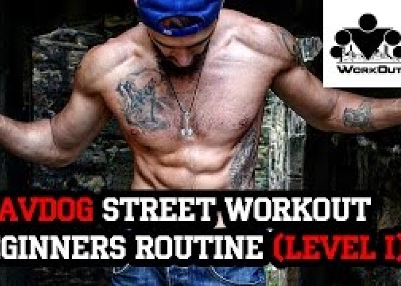 Slavdog's Street Workout Beginners Program (level I)