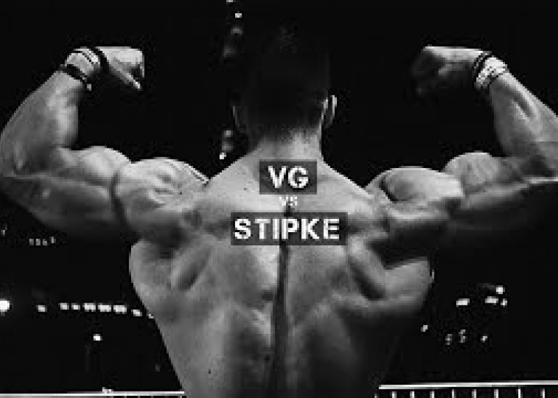 VG & STIPKE [Motivation]