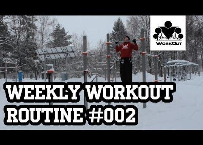 Weekly Workout Routine #002 - Beginner - Back-Biceps (from MadBarz.com)