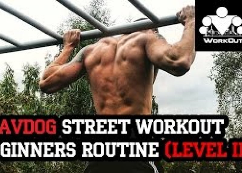Slavdog's Street Workout Beginners Program (level II)