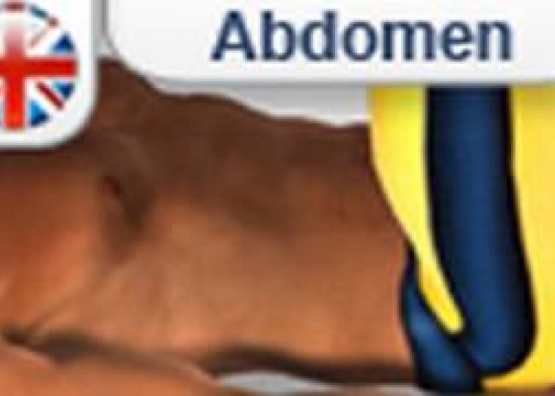 How to  Abdomen - 2 Minute Abs  Exercises Abdominal