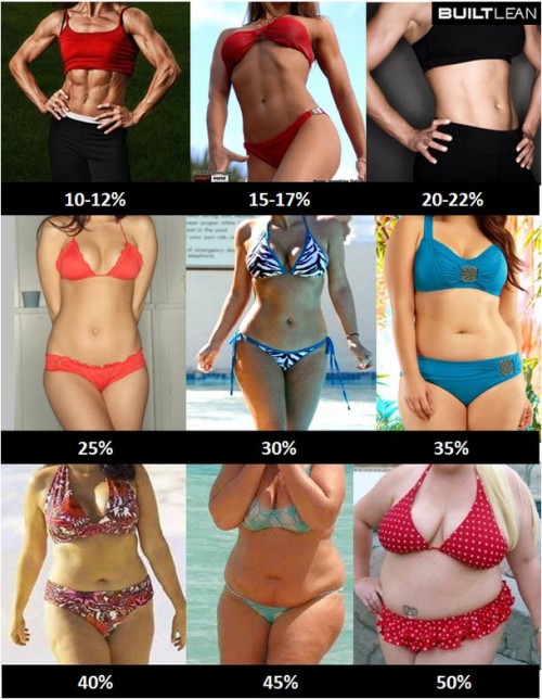 Day 39. Body Fat Percentage