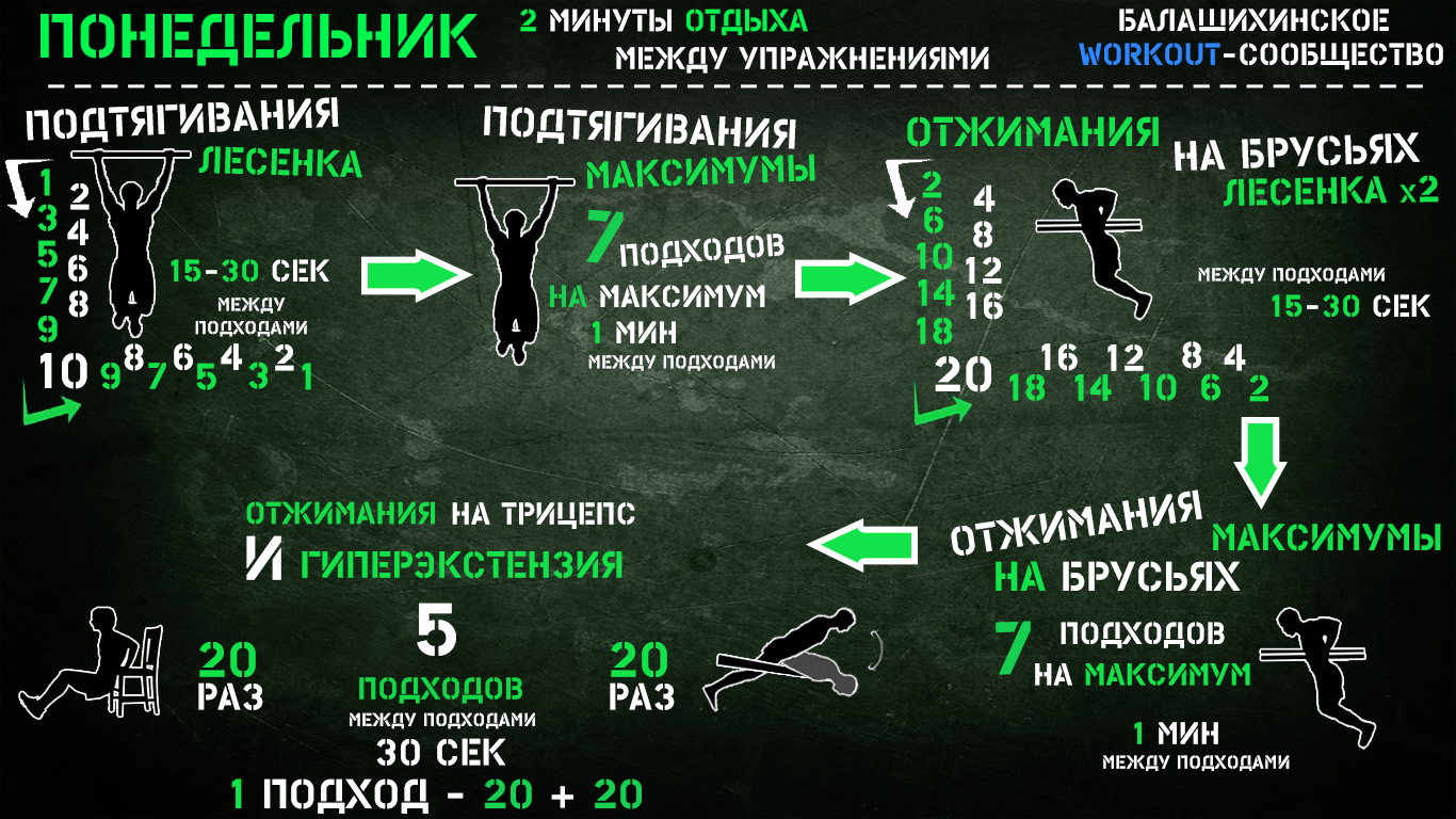 воркаут тренировка программа для начинающих дома (100) фото