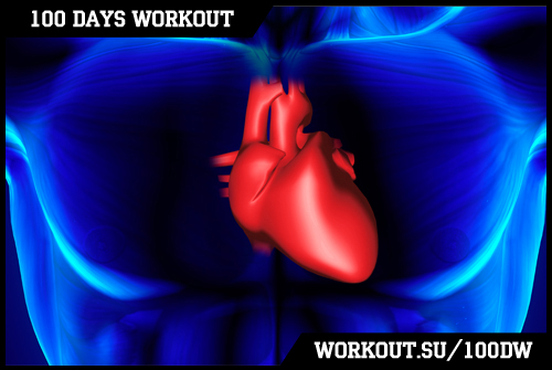 Day 67. Cardiovascular system